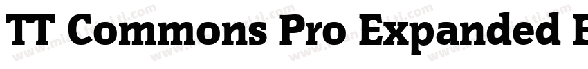 TT Commons Pro Expanded ExtraBold字体转换